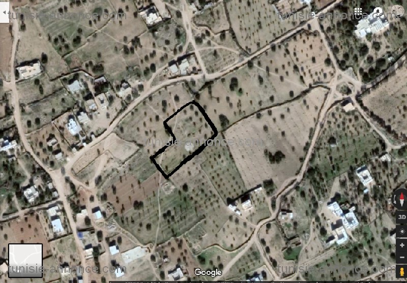 Joli lot à ouled amor sur une route goudronnée