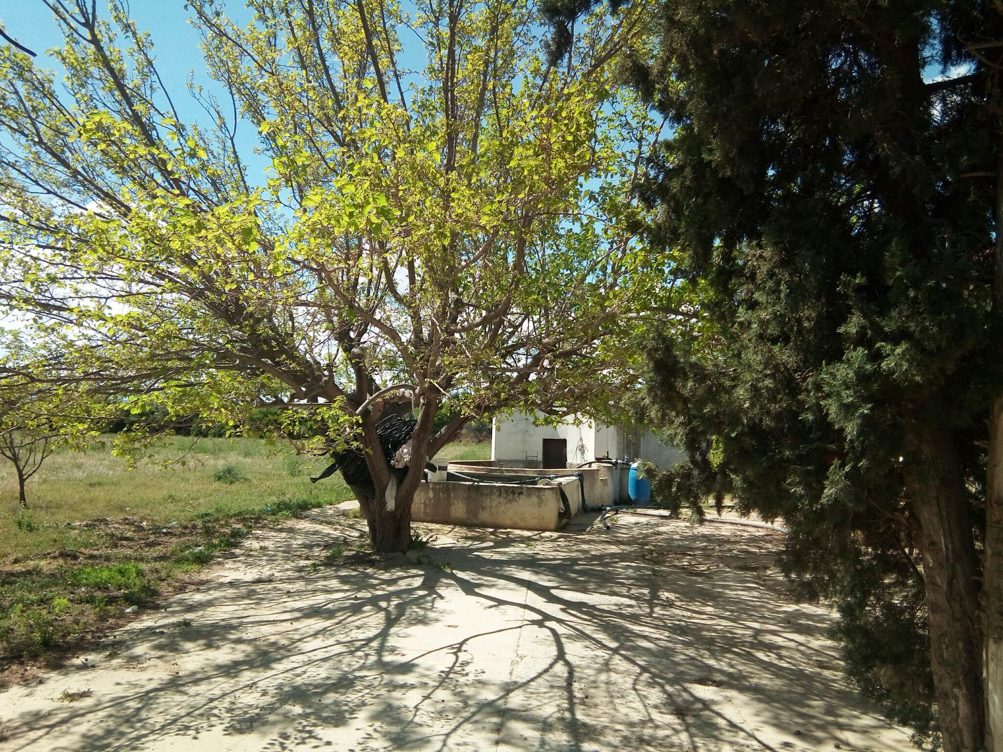 Ferme à naasseen