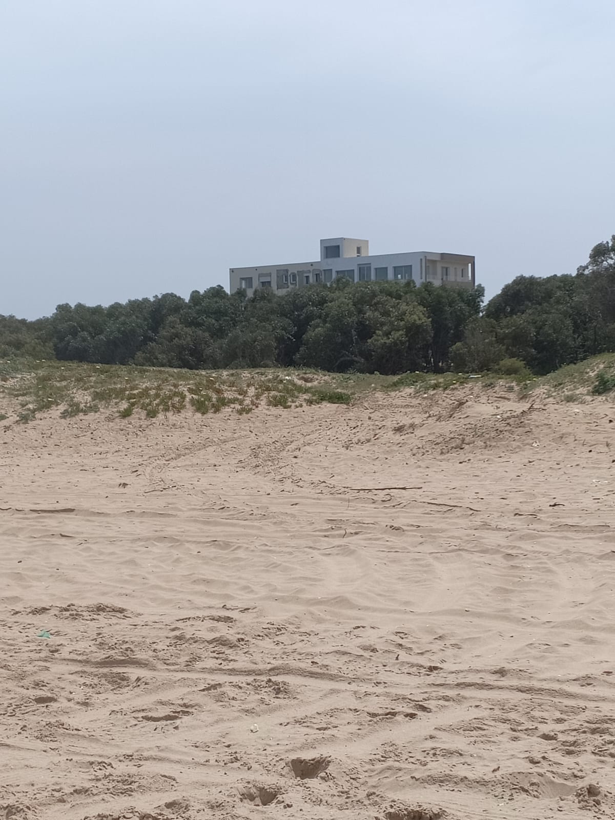 S1 raoued plage