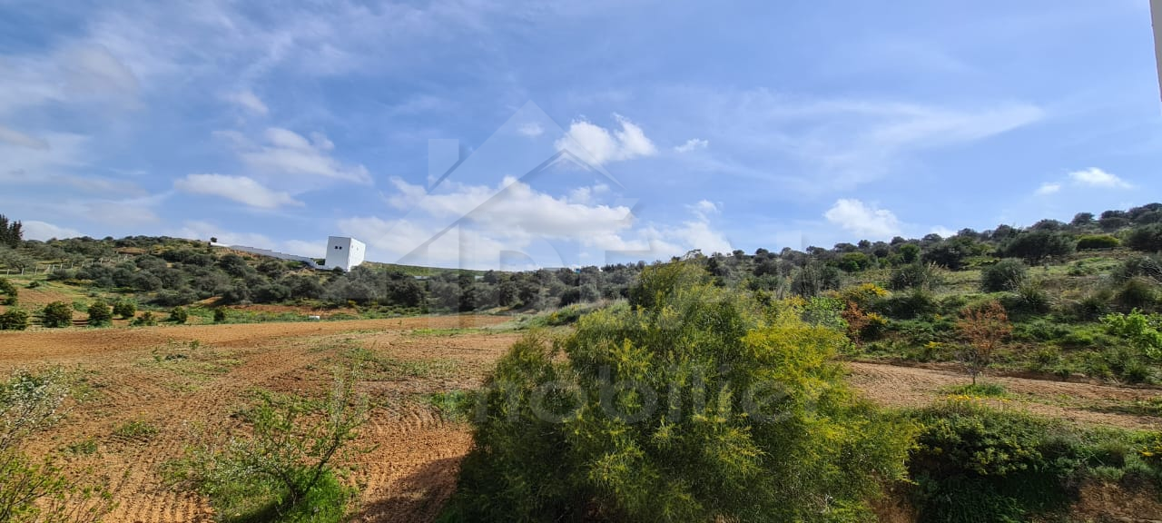 Ferme et villa de 2hectares à sidi thabet