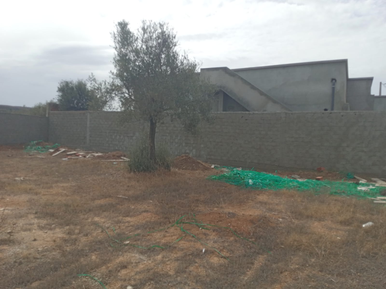 Borj touil vnt terr 730m2