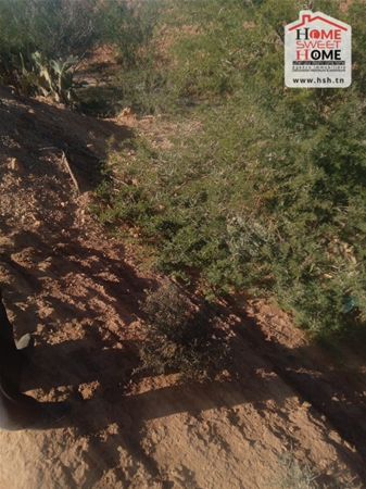 Terrain agricole aich à sidi aich