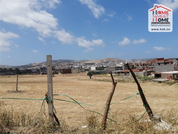 Terrain promoteur talmine à bizerte