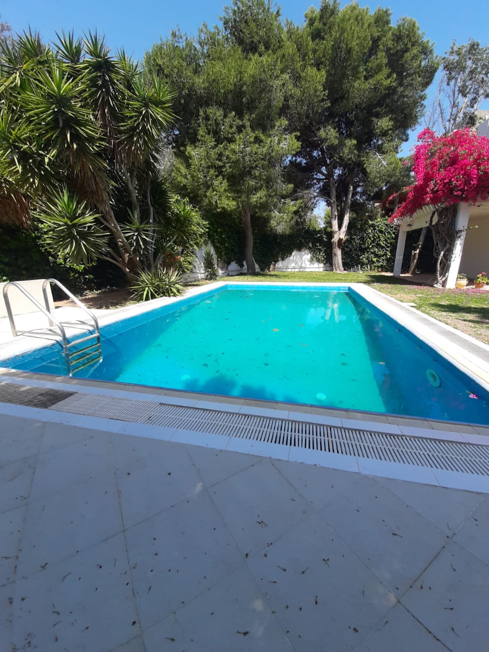 Maison avec jardin piscine