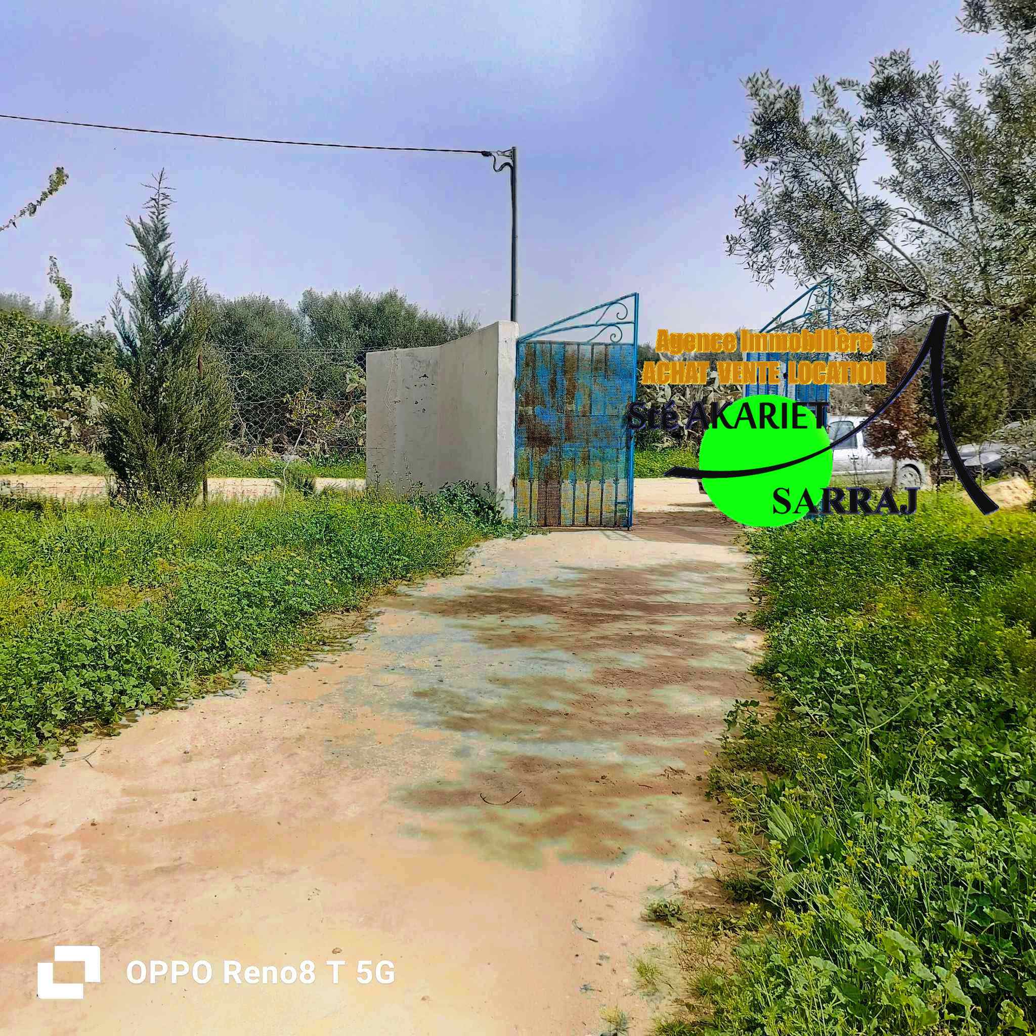 Senia 3000m prés de dar zitouna à sidi bouali