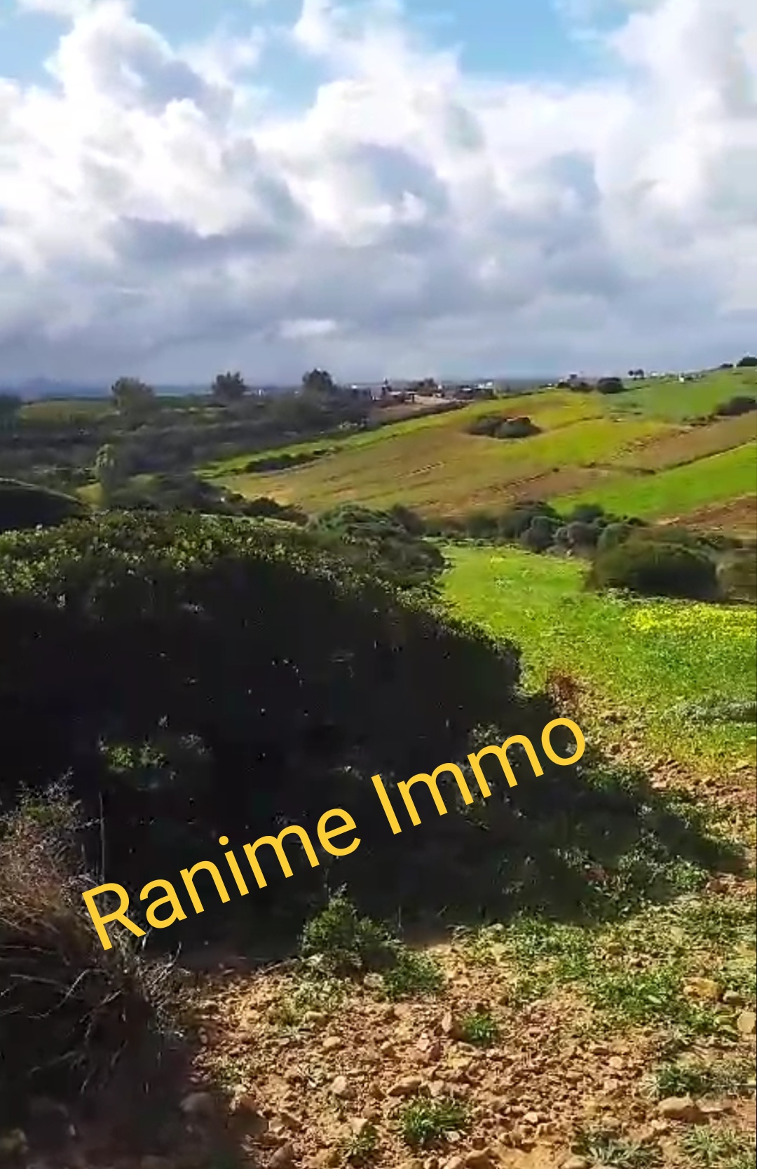 Terrain de 3740m2 a la plage el haouaria