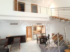 Un loft s2 au lac 2
