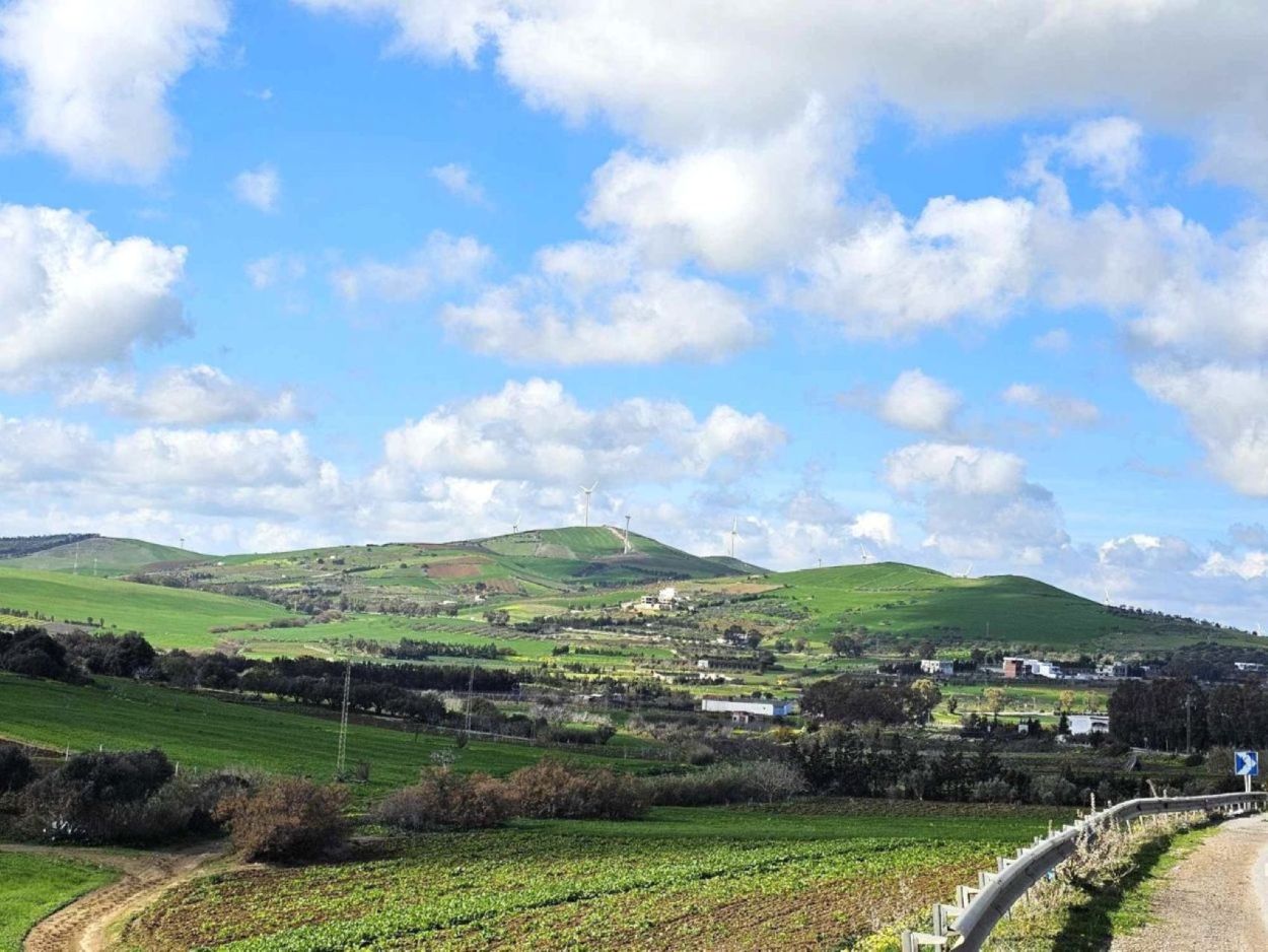 Terrain 1 hect a rafraf