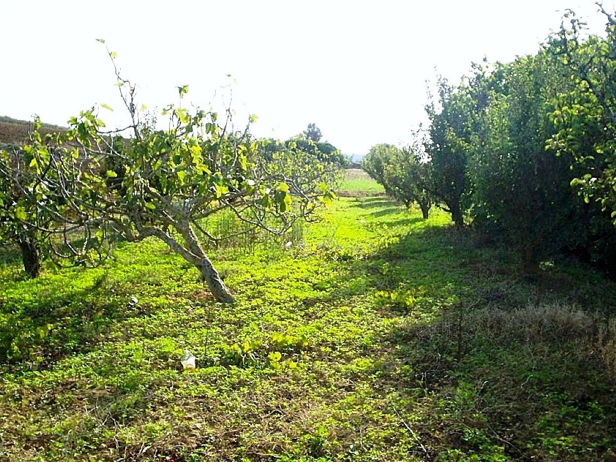 Terrain 5300 m2 a rafraf