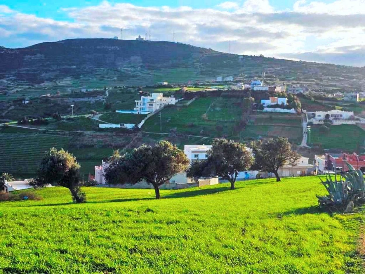 Terrain 800 m2 a rafraf