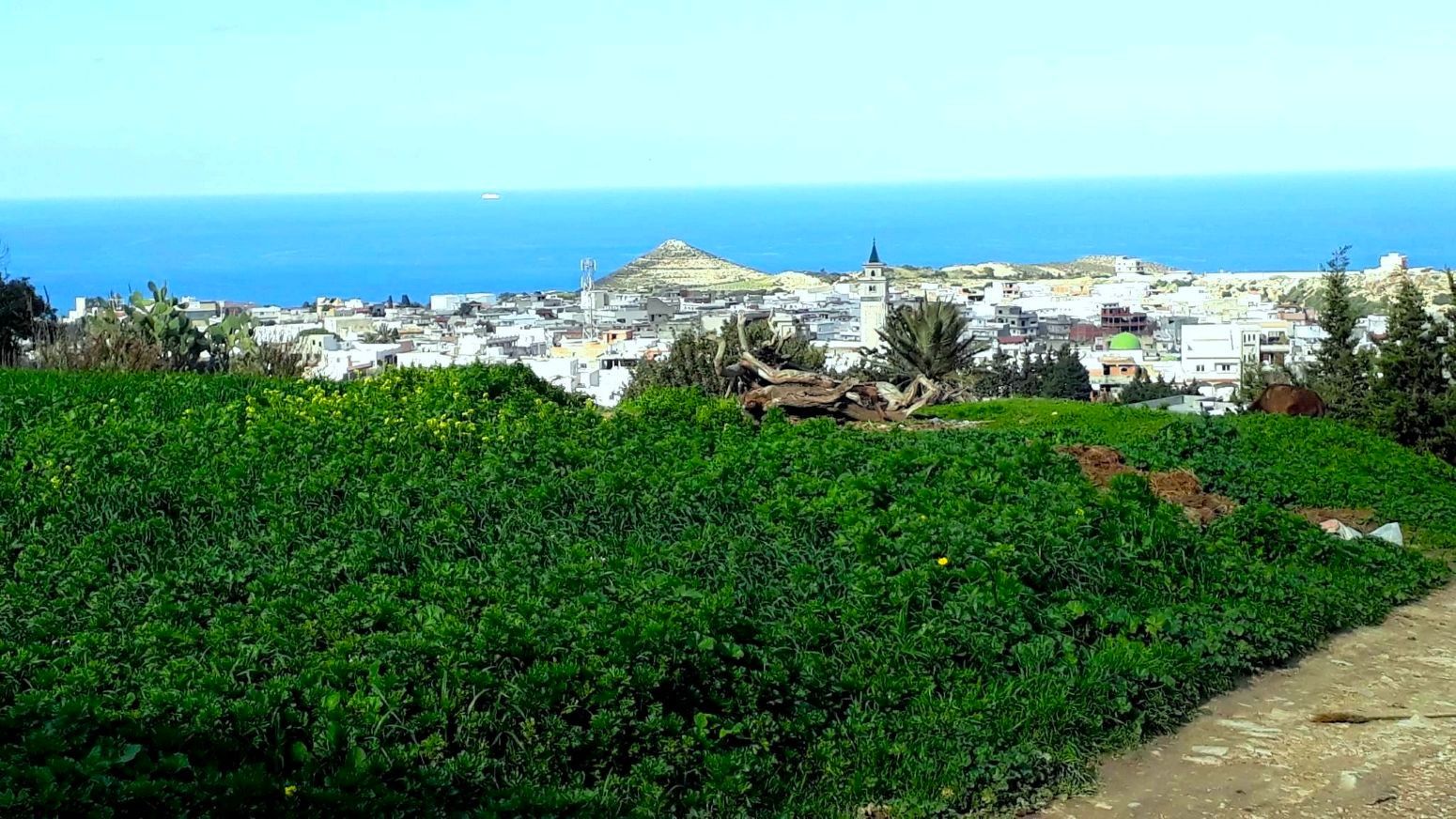 Terrain 820 m2 a rafraf