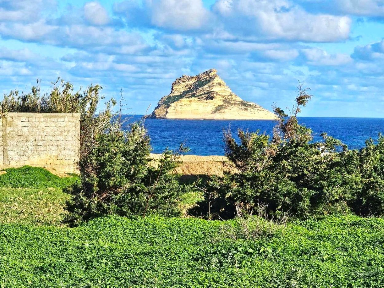Terrain 1050 m2 rafraf plage ain mestir