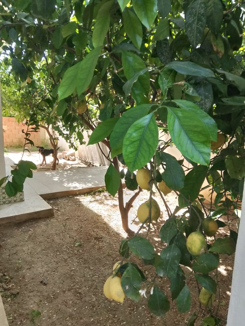 Maison au mourouj 2