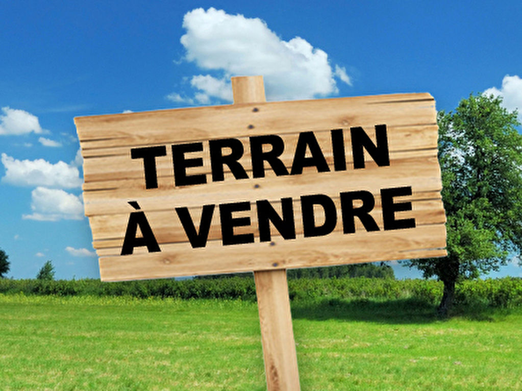 Terrains à chotrana 1