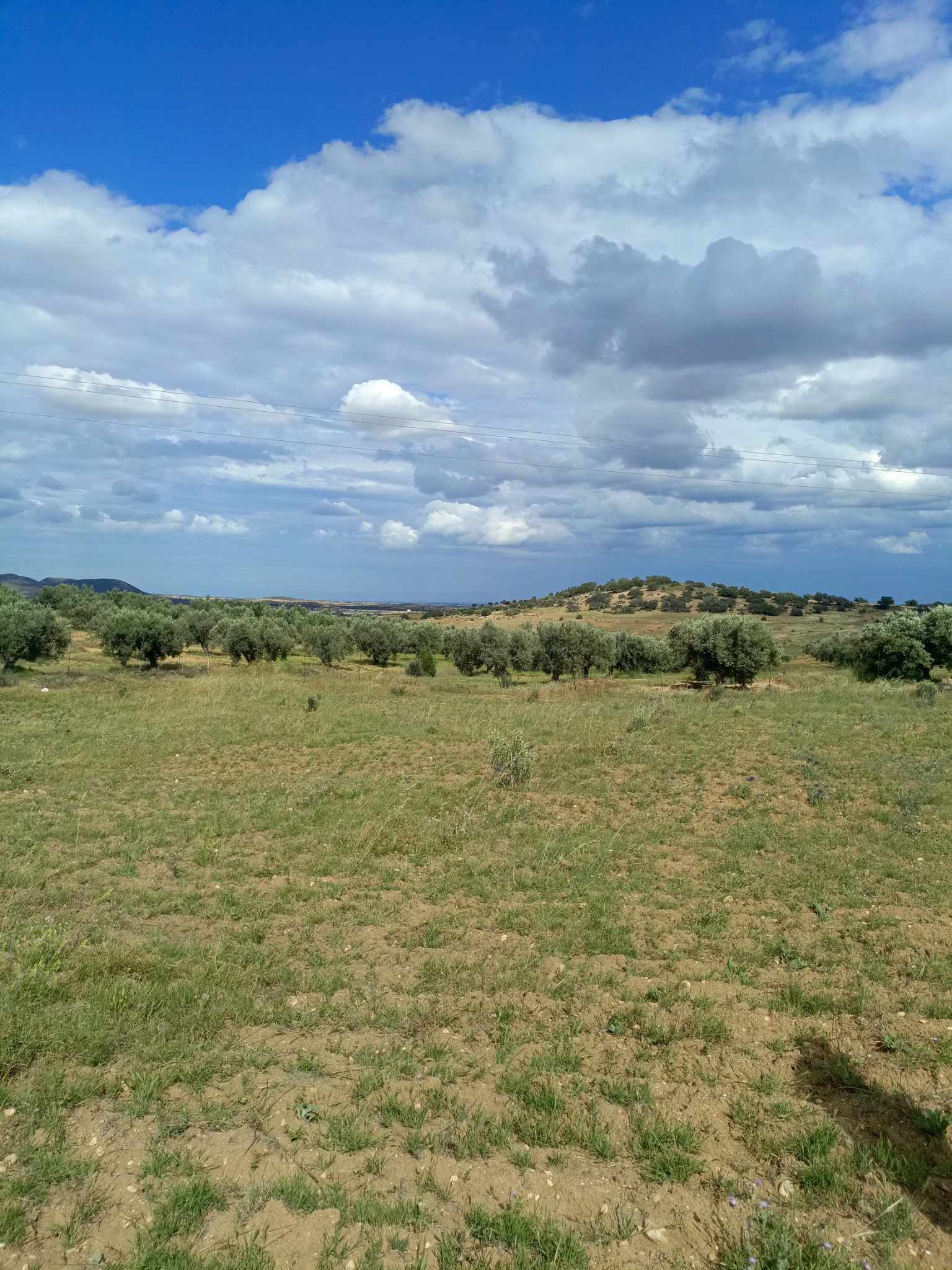 Av 4100m clôturé à zaghouan