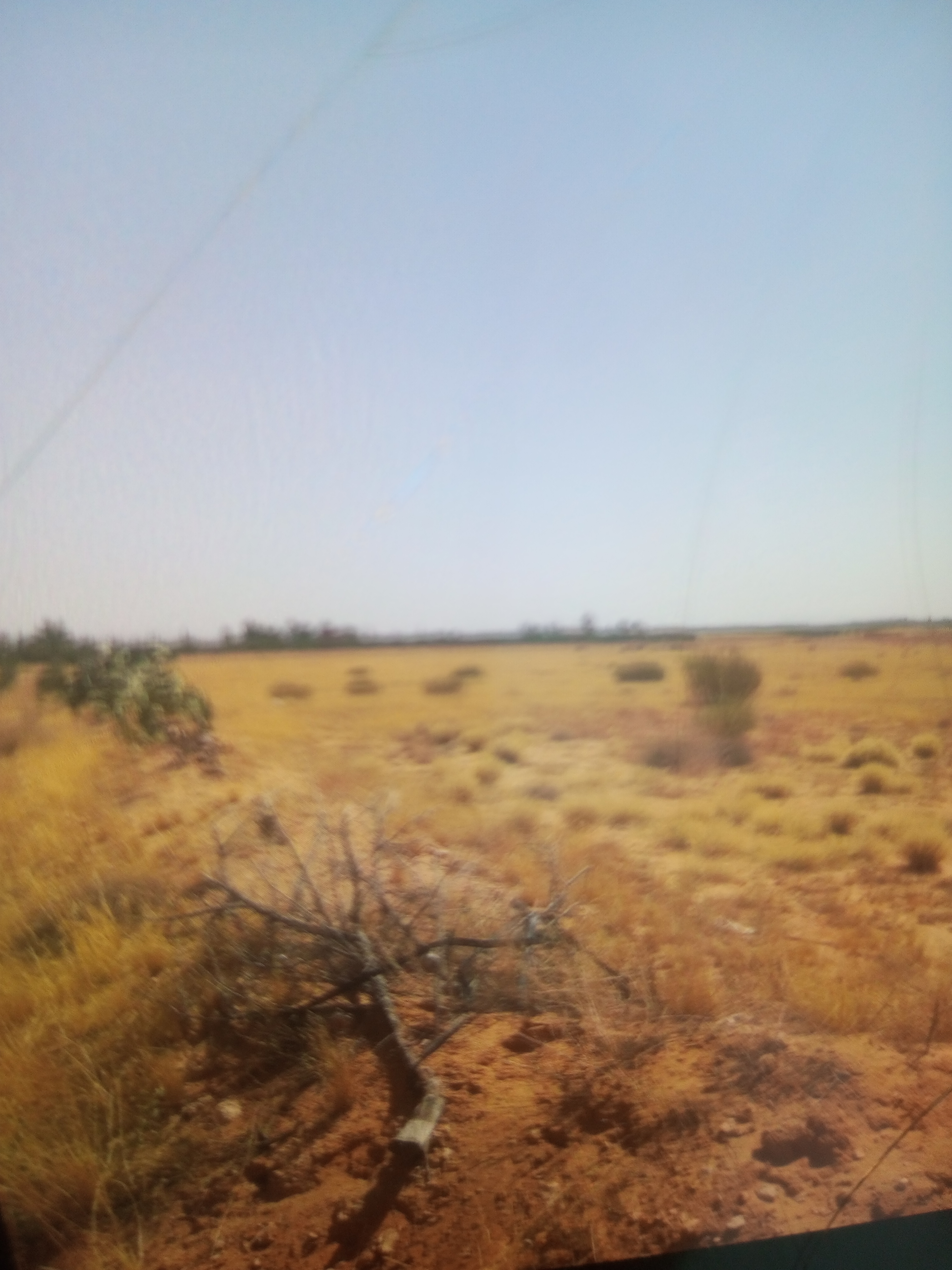 Terrain agricole