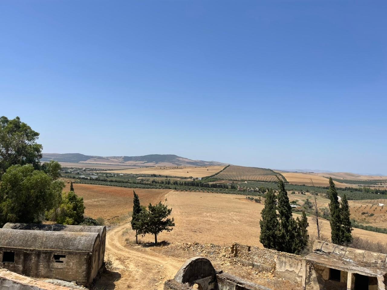 Terrain agricole ou idéal projet maison dhôtes