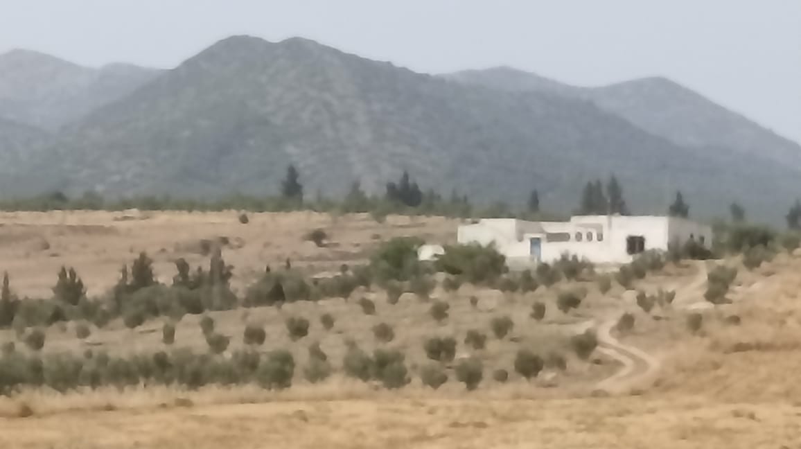 Ferme 5 hectares 700 oliviers