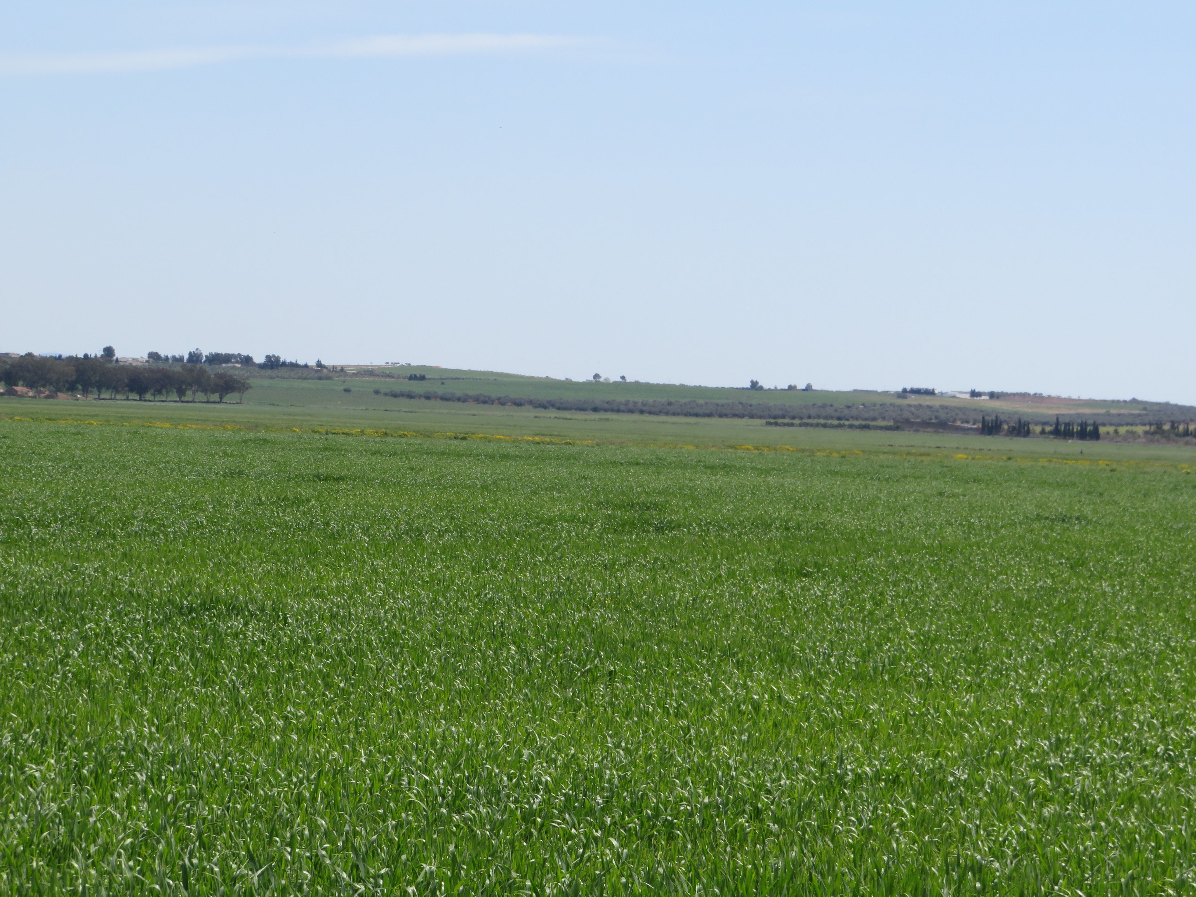 22 hectare terrain plat et fertile