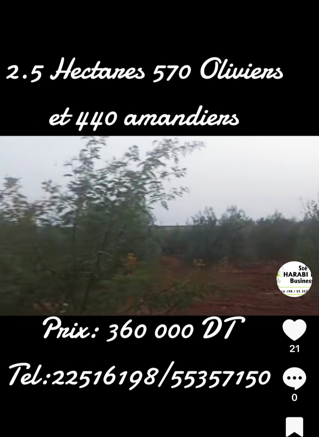 Terrain 570 oliviers et 440 amandiers