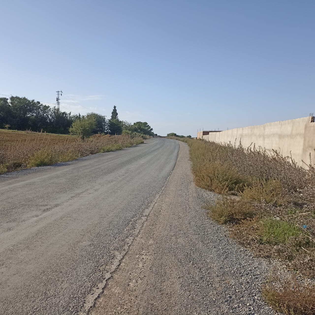 Ferme 7 hectares 32km de tunis