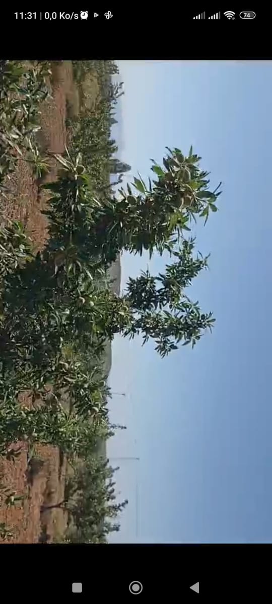 Ferme 6hectares et 5000m2