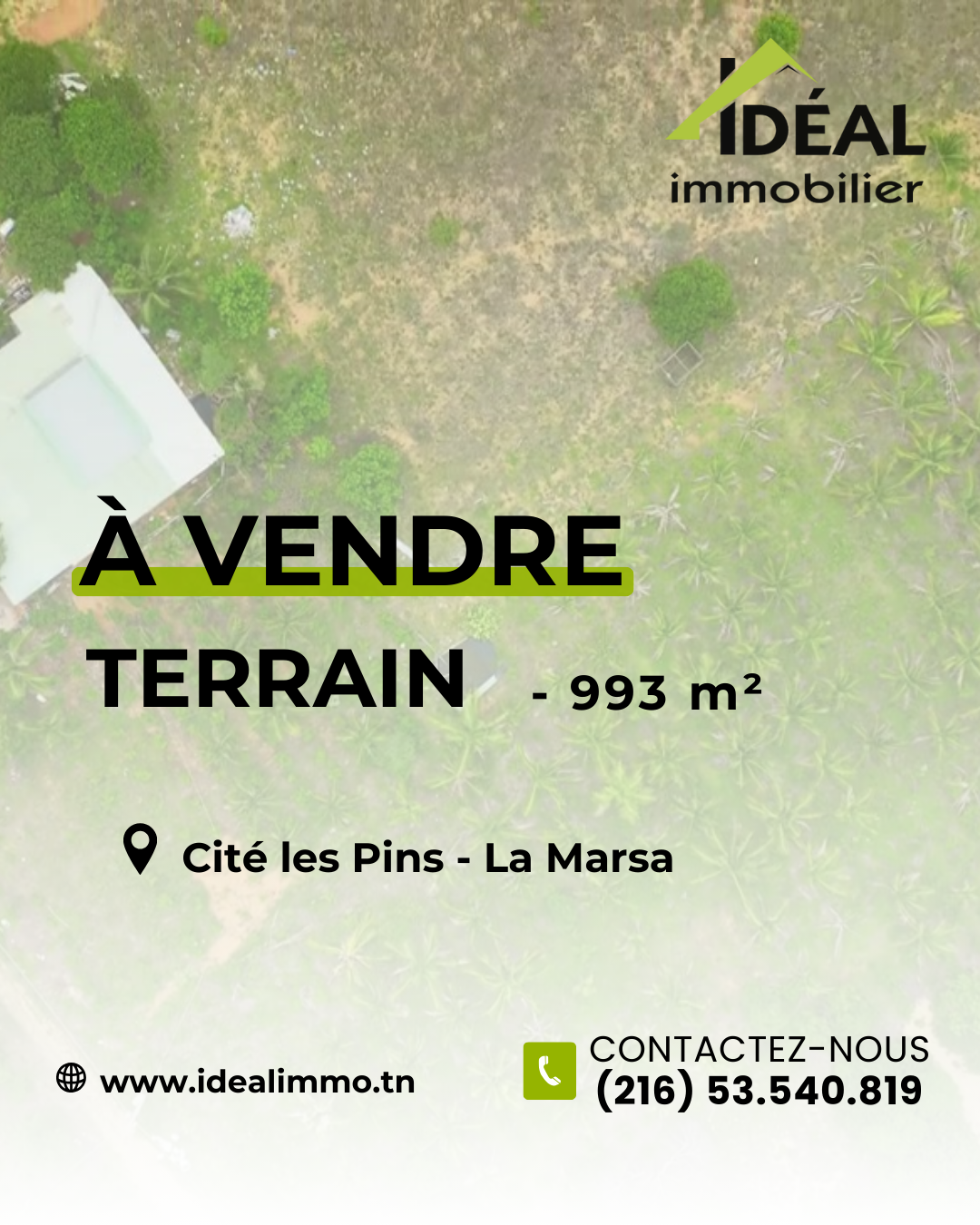 Av terrain cité el wifek