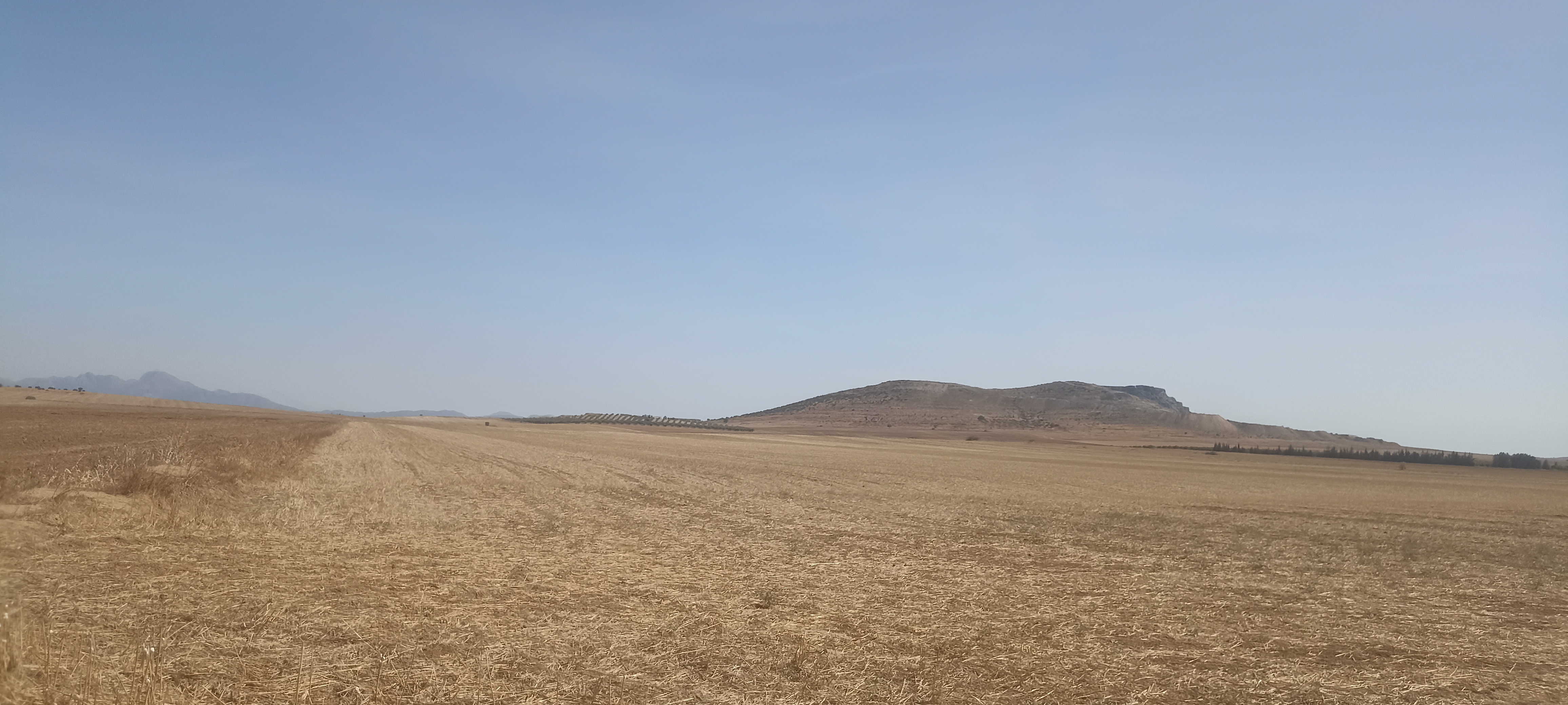 8 hectares nu excellente nappe phréatique
