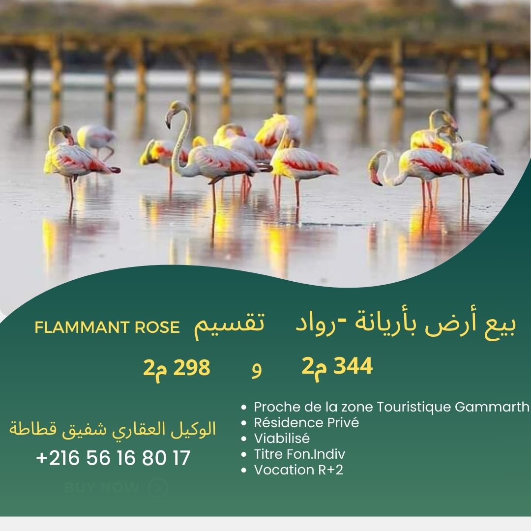 Raoued plage lot flammant rose vnt ter