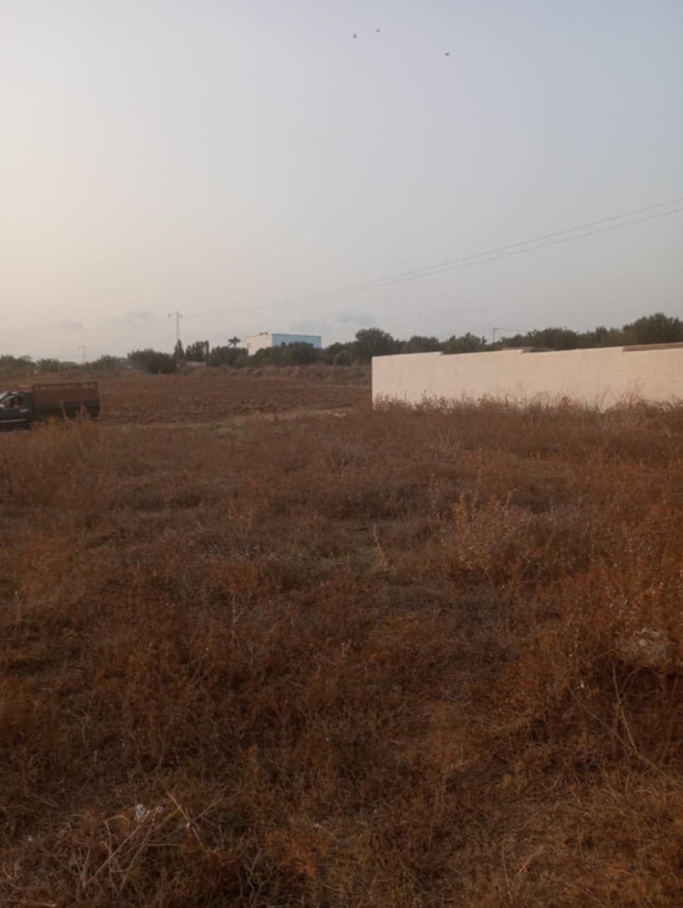Av terrain 1000m à hammamet sud