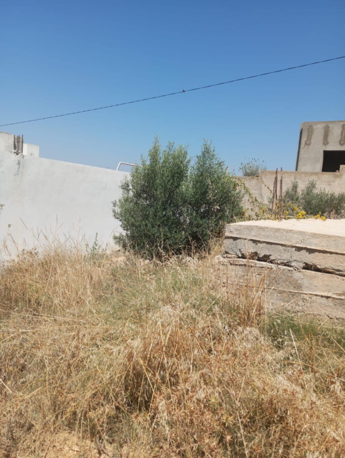 Av 200m avec fondation à hammamet sud