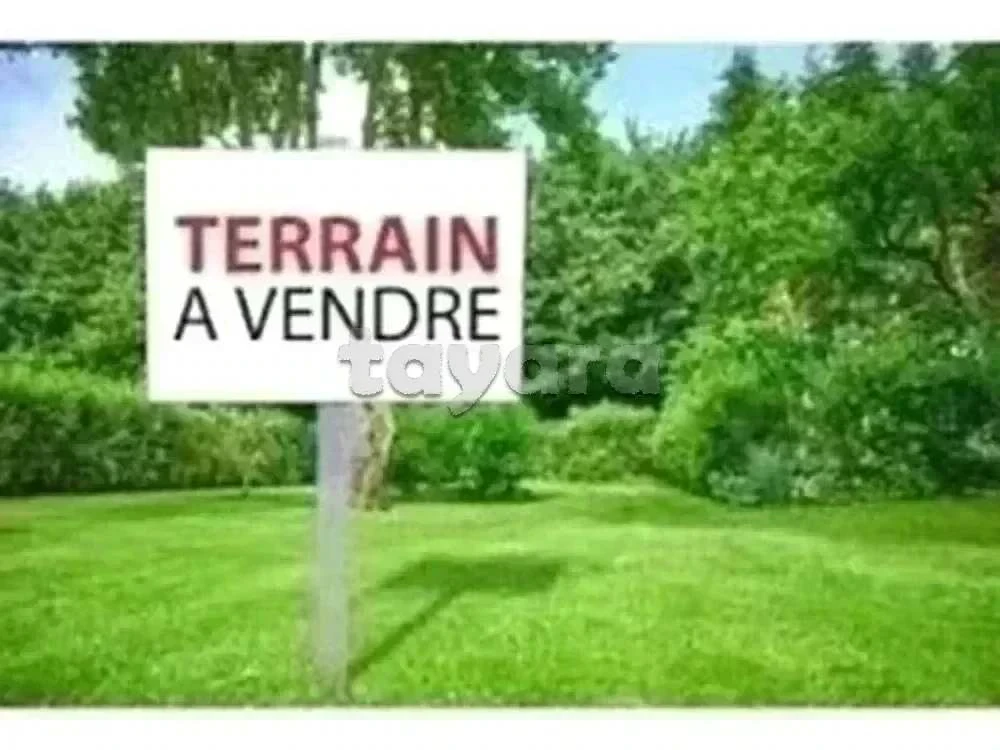 Terrain à jabbes