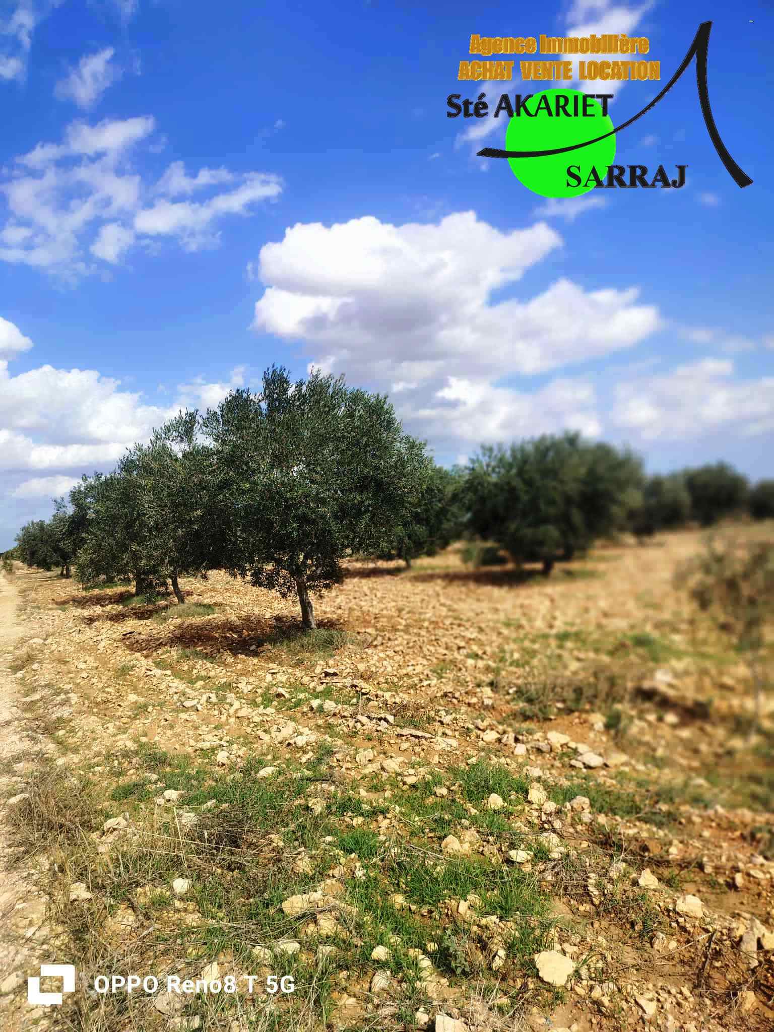 Senia 8 hectares et 6000m à kalaa kebira el kraria