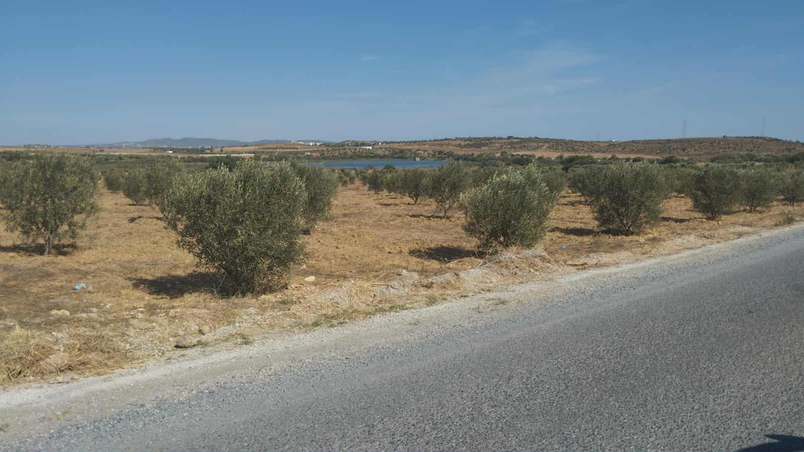 Av de 1000m à 3000m à monchar