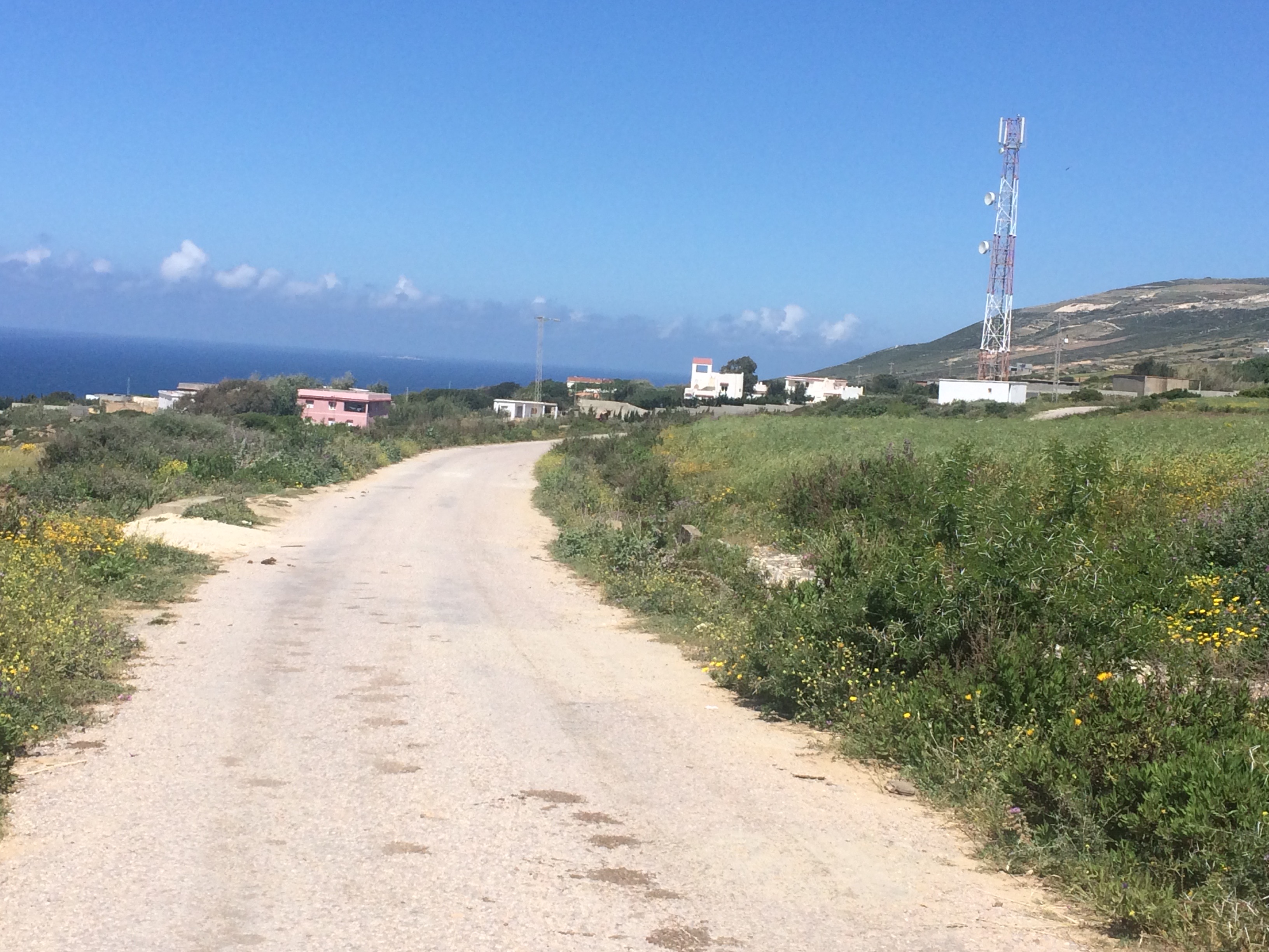 Terrain 1650m a demna metline bizerte