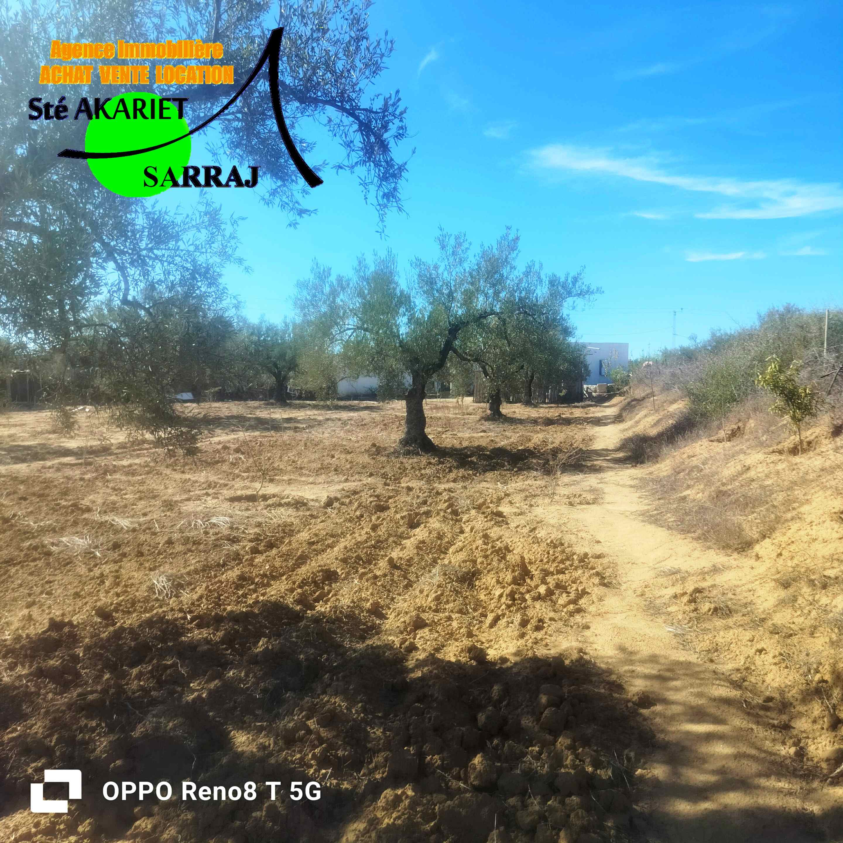 Senia clôturé 3300m à kalaa sghira oued laya