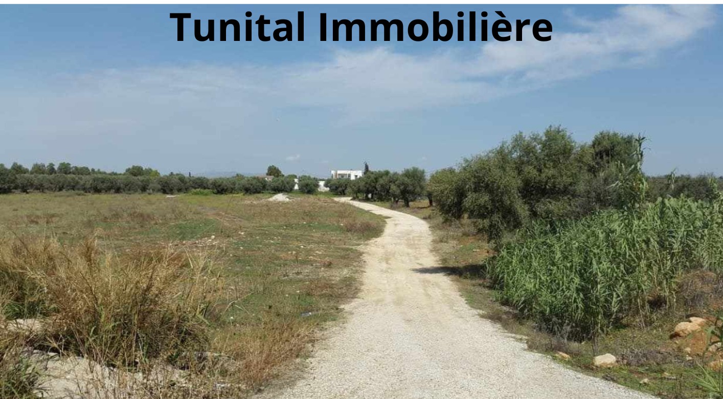 Neuf lots de terrains