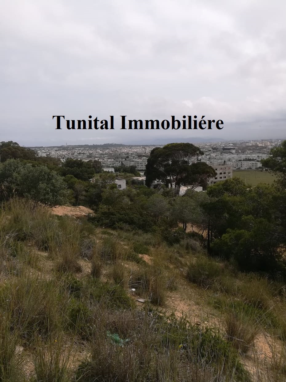 Terrain vue panoramique