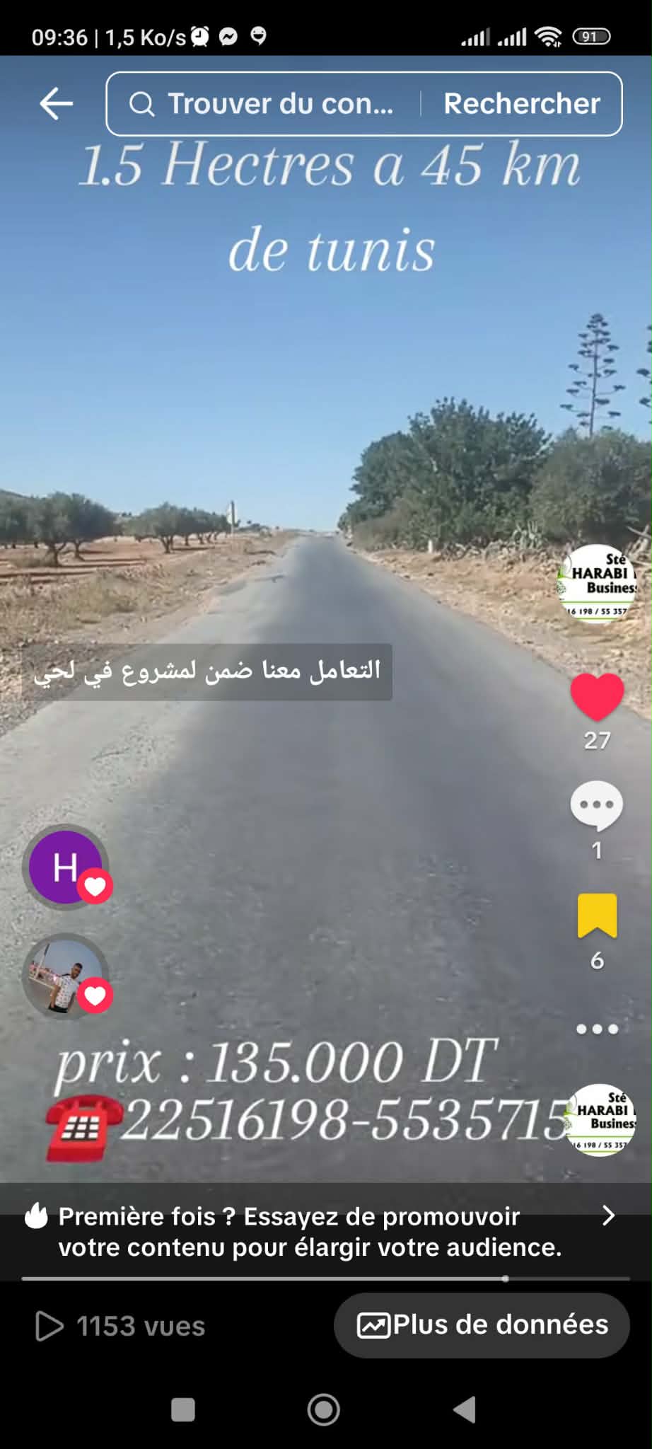 Un hectare et demi avec d'oliviers