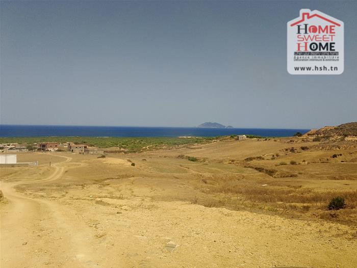 Terrain villa olga à nabeul