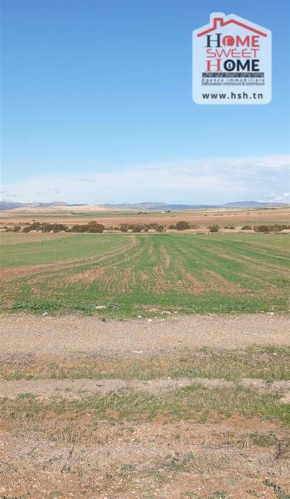 Terrain agricole ardena à mjez el beb