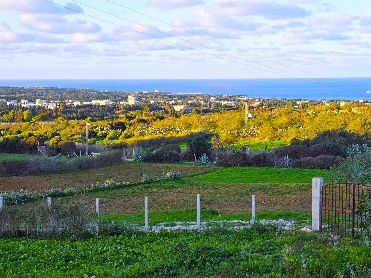 Terrain 972 m2 à rafraf sounine