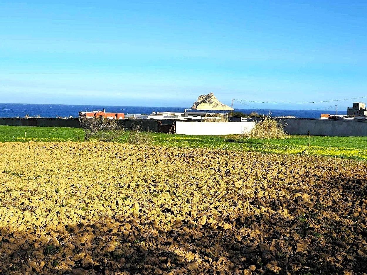 Terrain 500 m2 rafraf plage aïn mestir