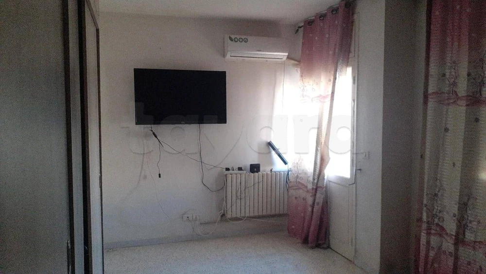 Duplex ariana