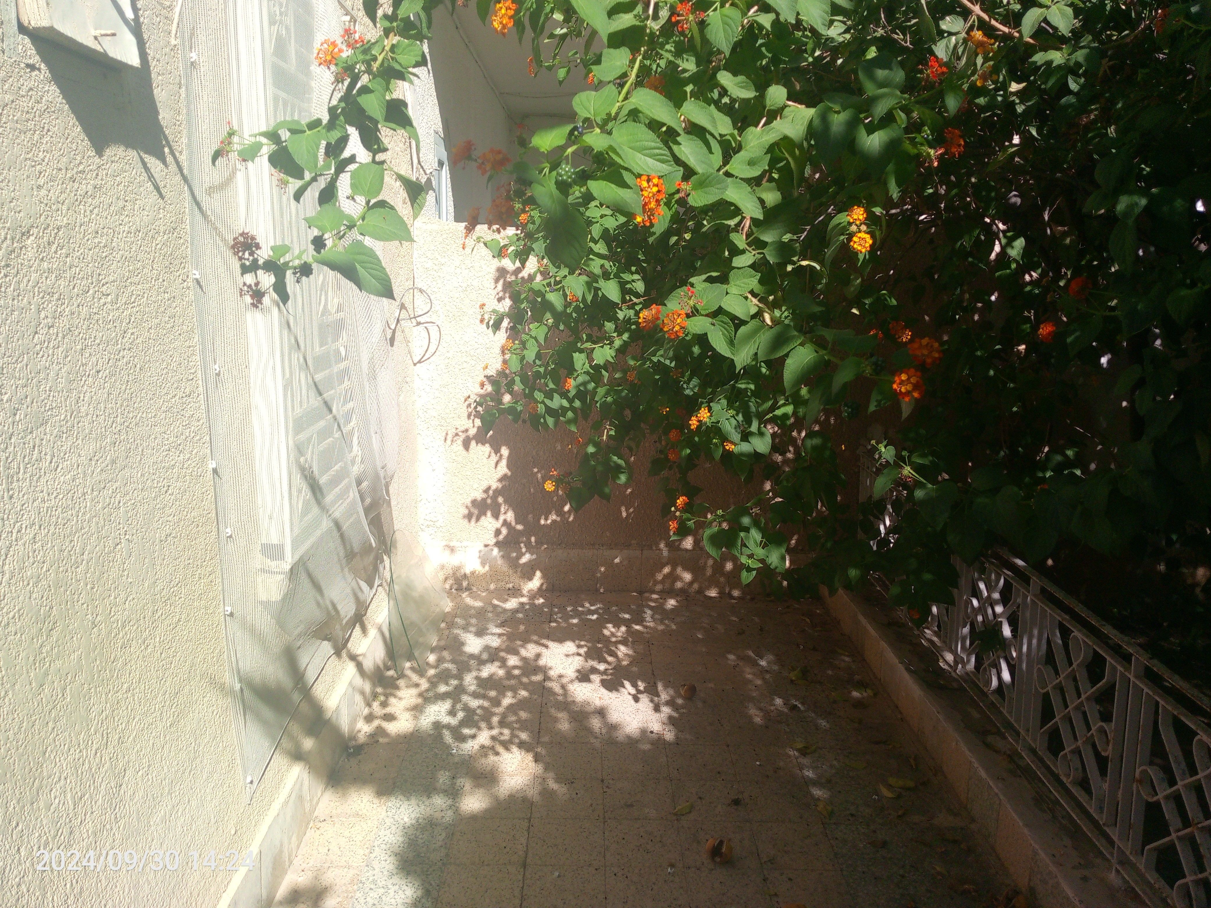 Maison sidii achour nabeul 223m2