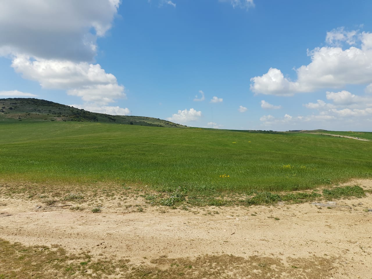 Terrain agricole