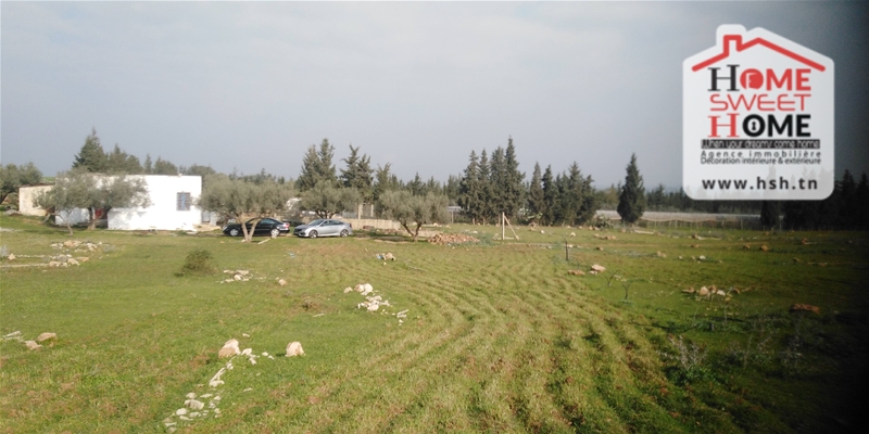 Senia kyranis à mornag