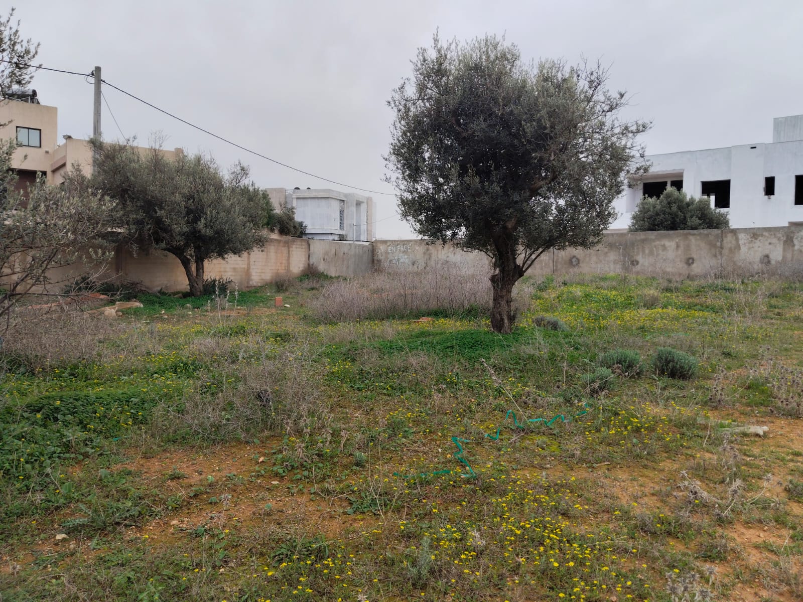 Borj youssef vnt ter 1000m2