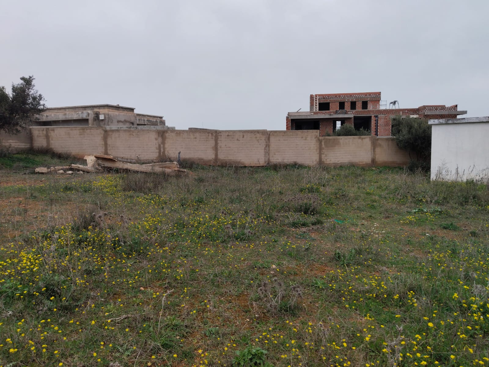Borj youssef vnt ter 2000m2 ref 1526