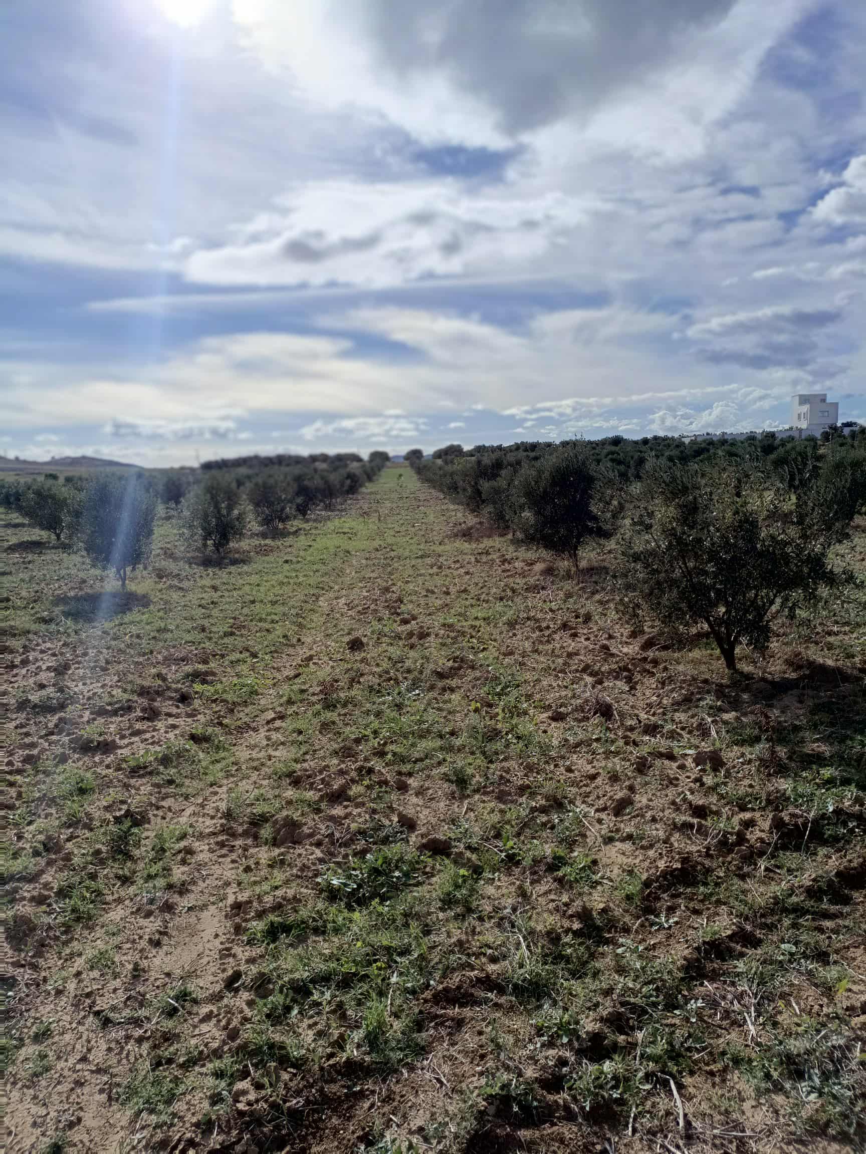 Av 3000m à hammamet sud